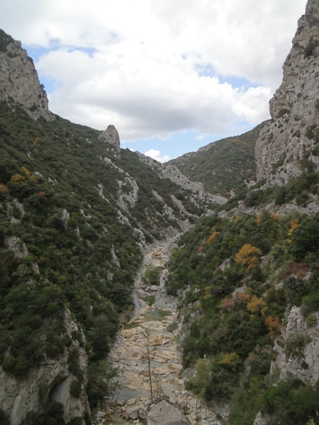 Galamus