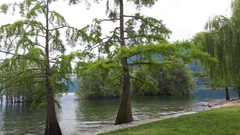 Langensee